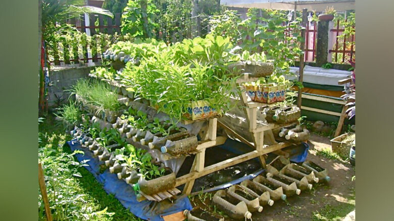 Creative Ways to Garden in the City | Mycitylinks