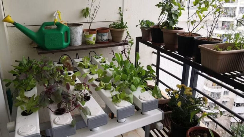 Creative Ways to Garden in the City - My City Links